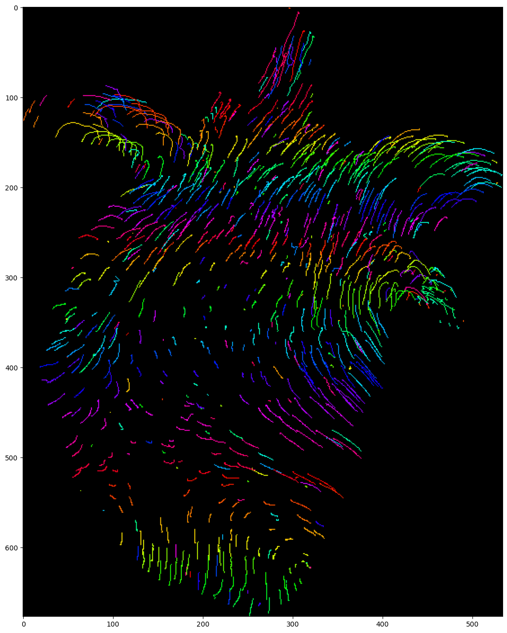 ../_images/run_examples_ByoTrack_fundamental_35_0.png