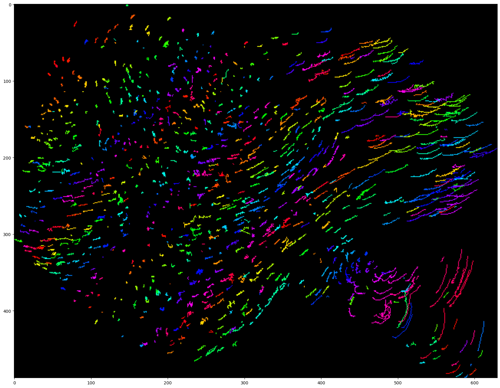 ../_images/run_examples_ByoTrack_fundamental_30_0.png