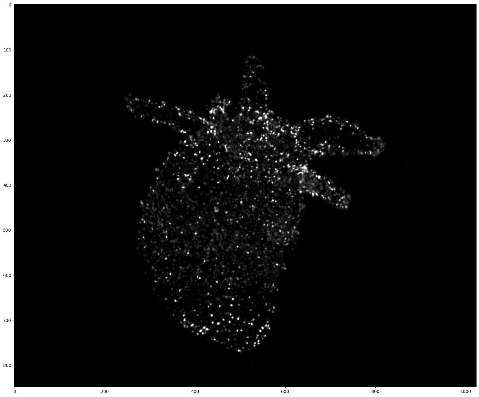 ../_images/run_examples_Video_8_0.png